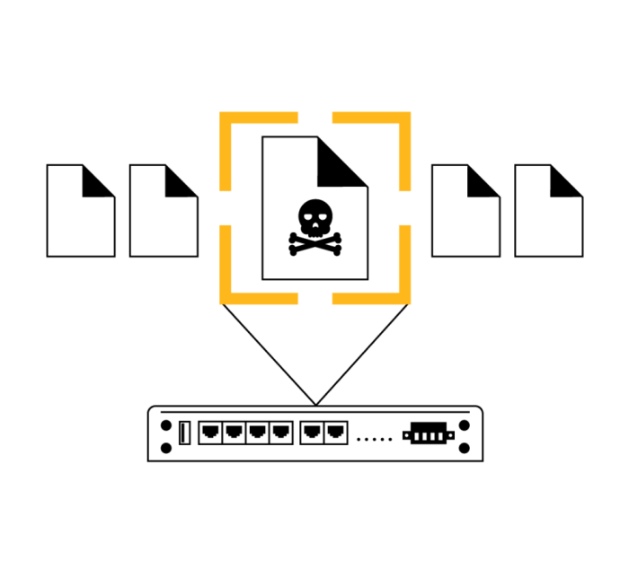 Intrusion Detection and DoS protection