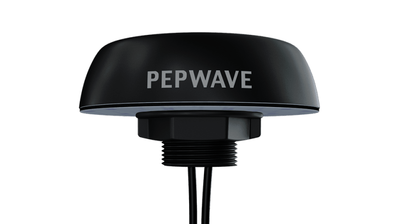 Peplink Mobility Puma 020