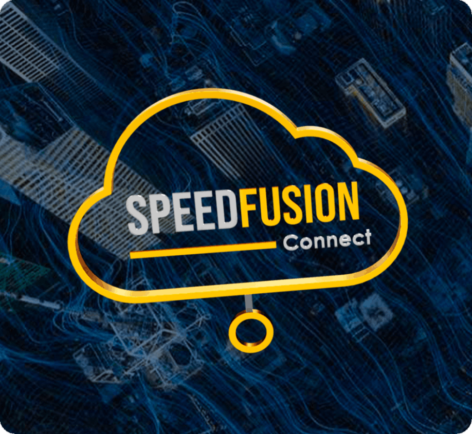 SpeedFusion Connect Protect