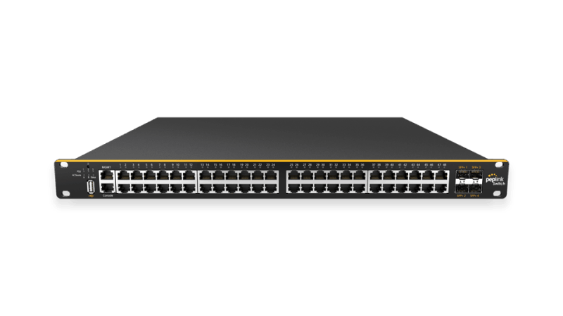 48 port Peplink Switch