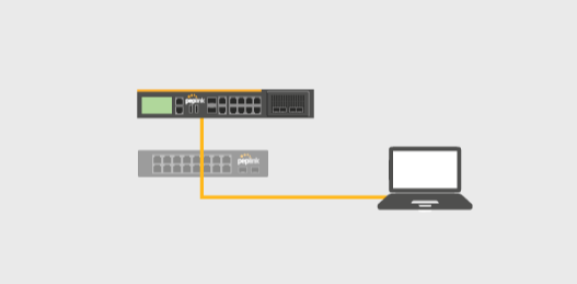 Peplink Switch LAN Bypass